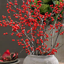 Winter+Berries.jpg