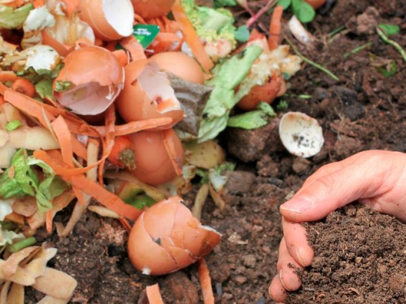 composting_composte_via_shutterstock-1473828312-3176.jpg