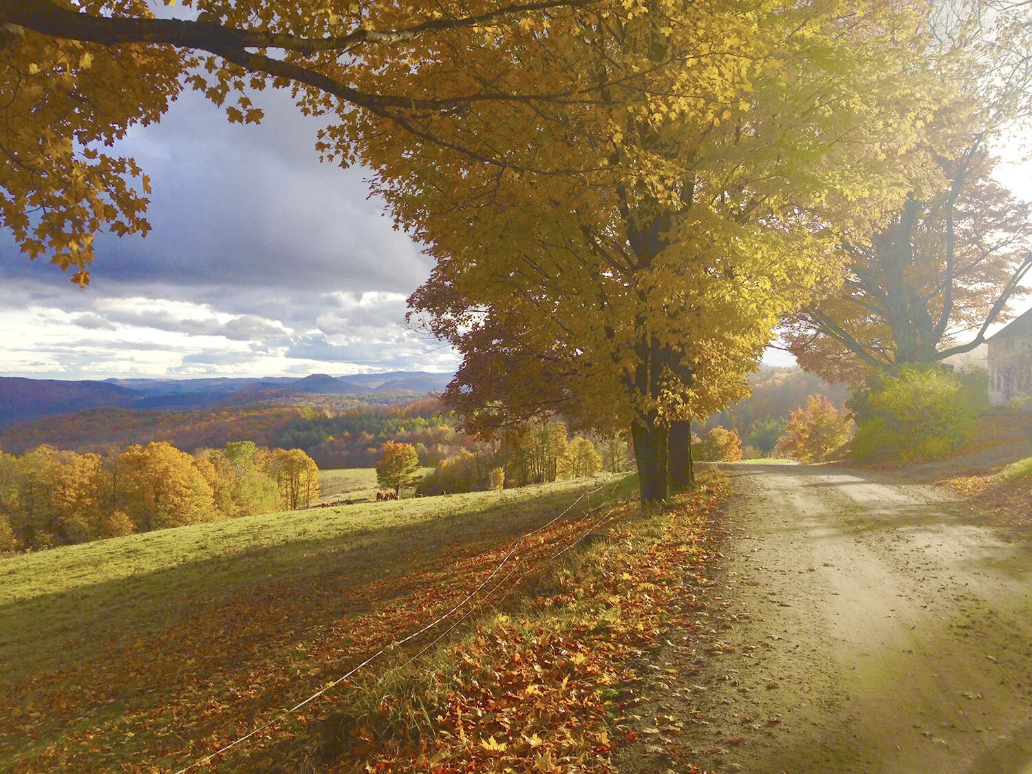 Pretty-fall-colors-on-a-Vermont-dirt-road.-Photo-by-Shawntae-Stillwell.jpg