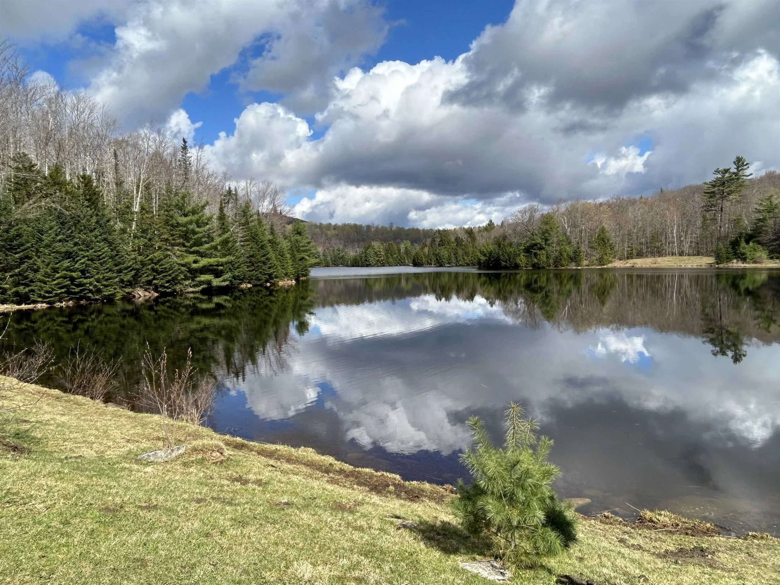 Blog | Cavendish, Vermont | Cavendish Connects