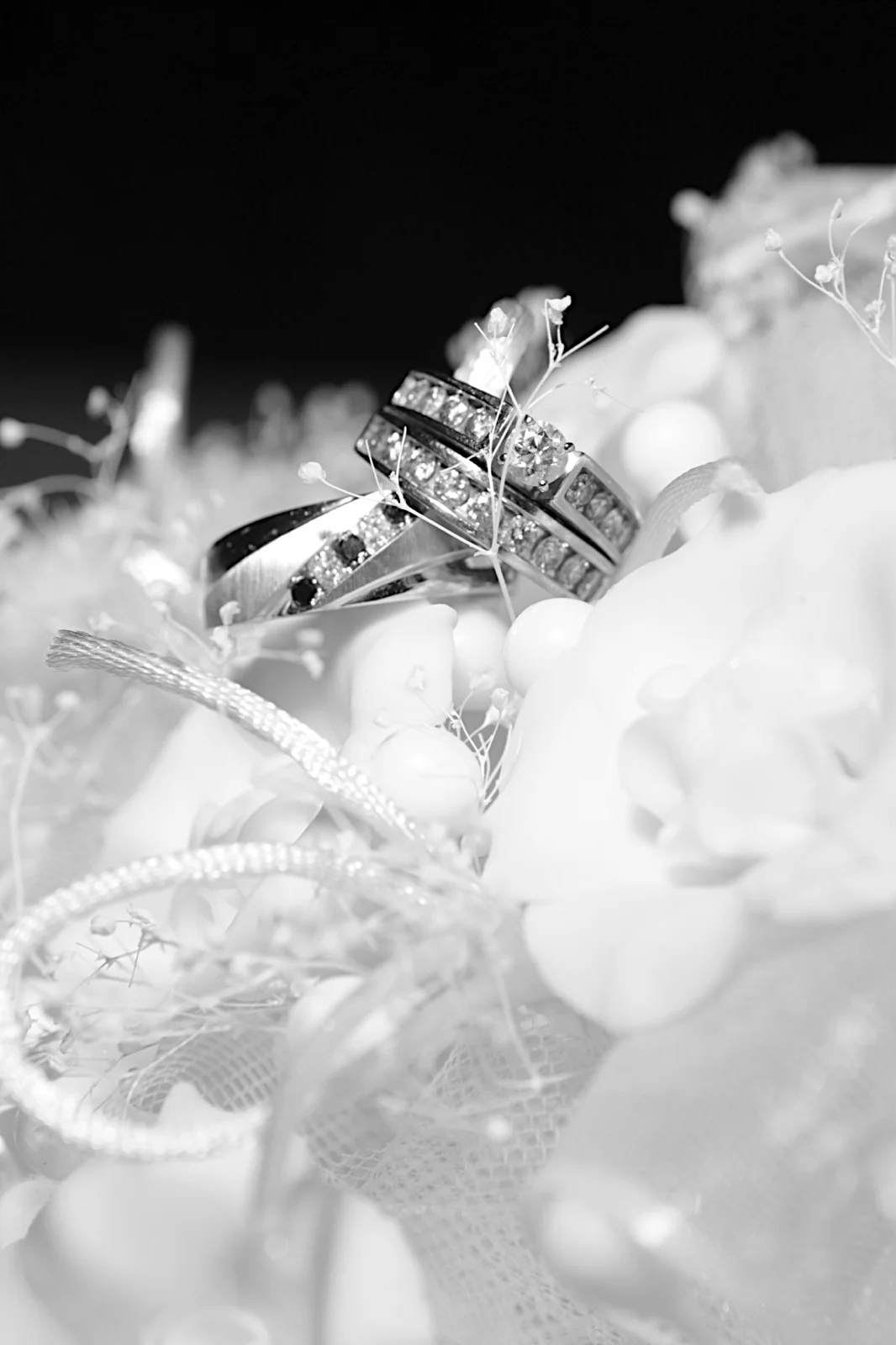 _MG_9577.JPG
