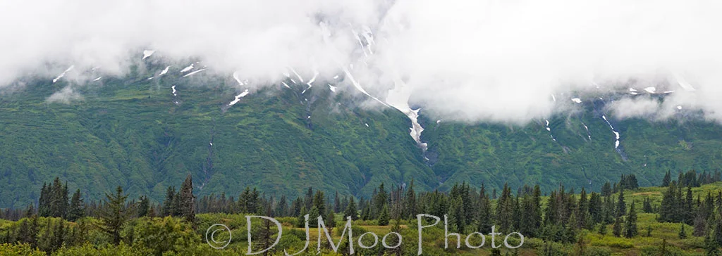    Along the Haines Hwy., Yukon   