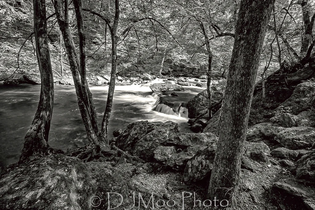    Laurel Creek, Smoky Mt. Nat'l. Park, Tennessee, USA   