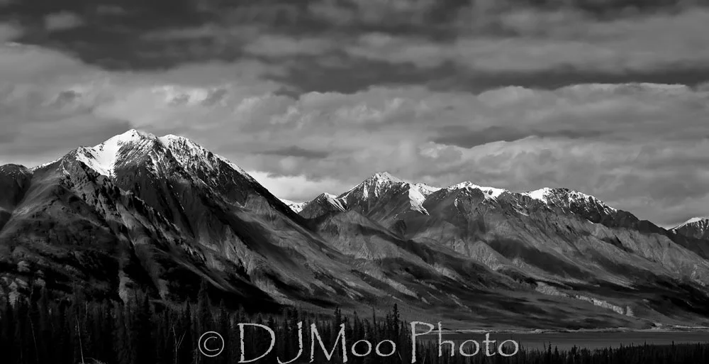    Kluane Nat'l. Park, Yukon   