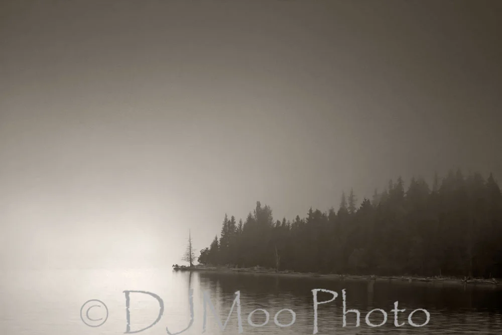    Near Seward, Alaska, USA   