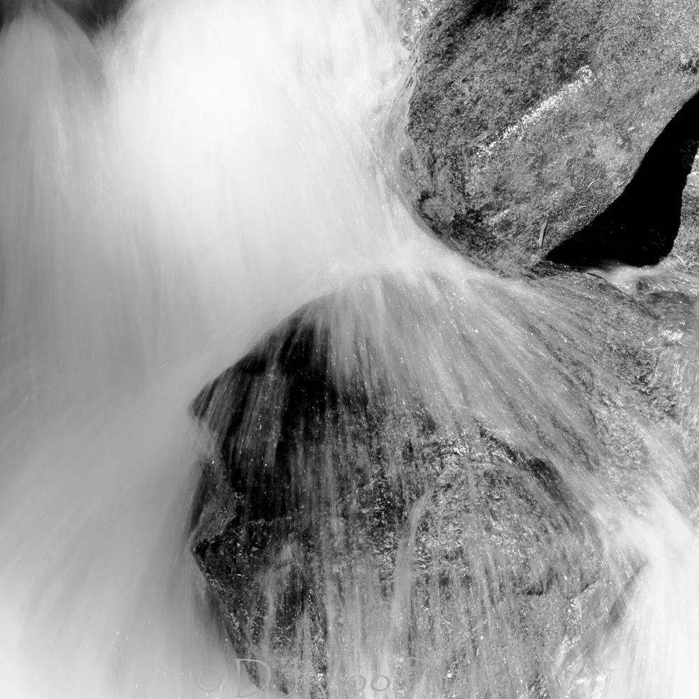    North Fork Nooksack R., Washington St., USA   