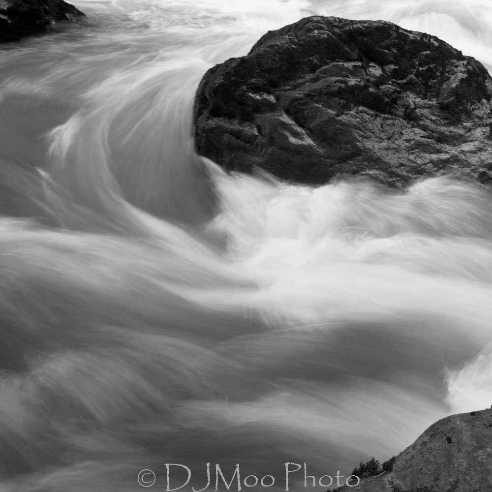    North Fork, Nooksack R., Washington St., USA   