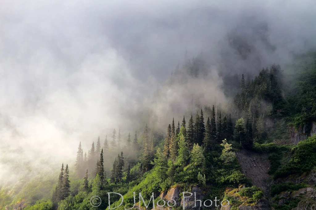    Stewart Hwy., British Columbia, Canada   