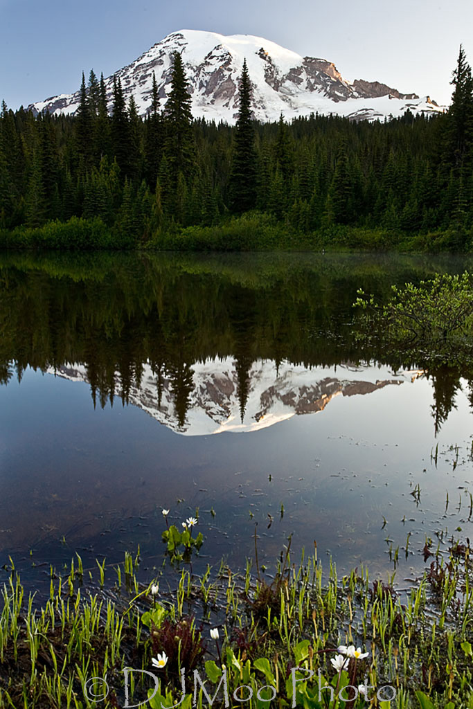    Mt. Rainier, Washington State, USA   