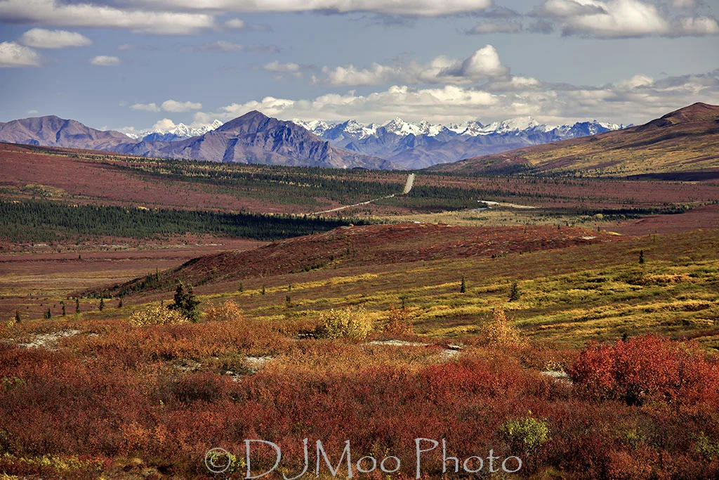    Denali National Park, Alaska   