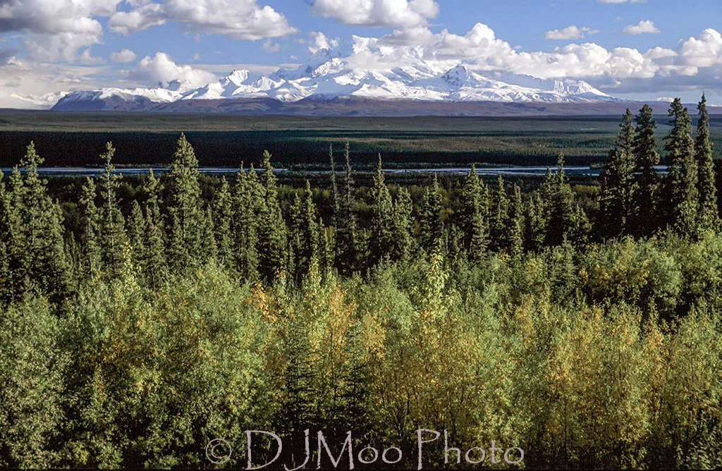    Wrangel-St. Elias Mts., from Tok Cutoff, Alaska   