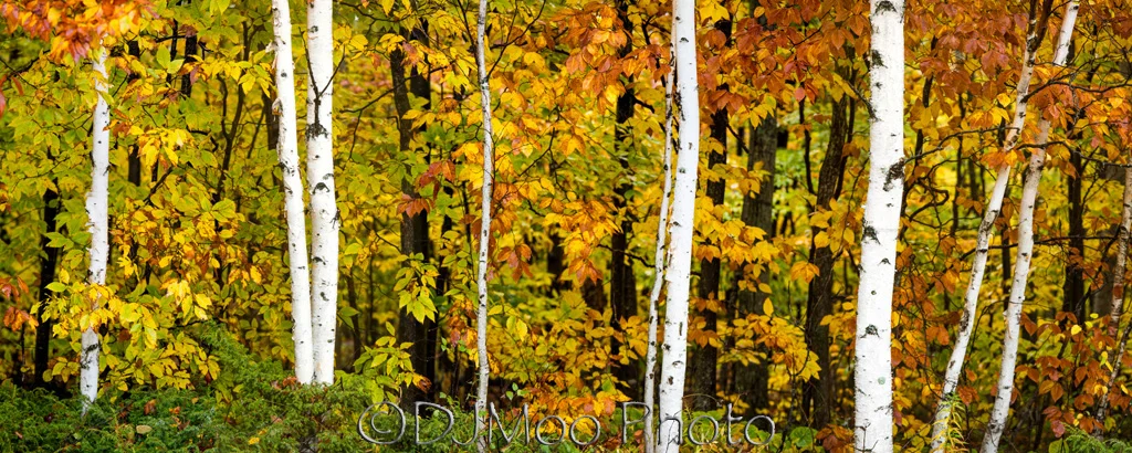    Door County, Wisconsin, USA   