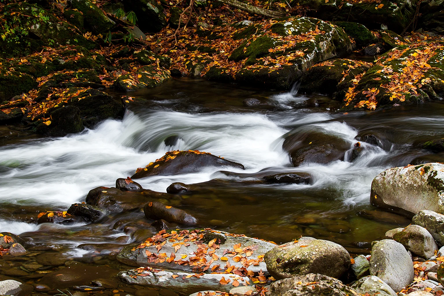    Tremont Creek, Smoky Mts., USA   