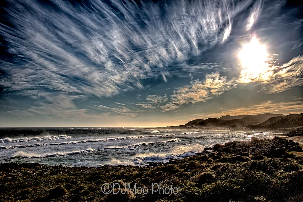    Cape Point Bay, South Africa   