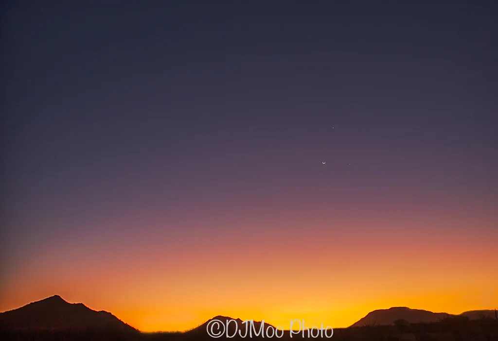    Madikwe Game Reserve, South Africa   