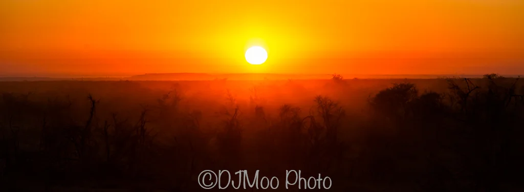    Madikwe Game Reserve, South Africa   