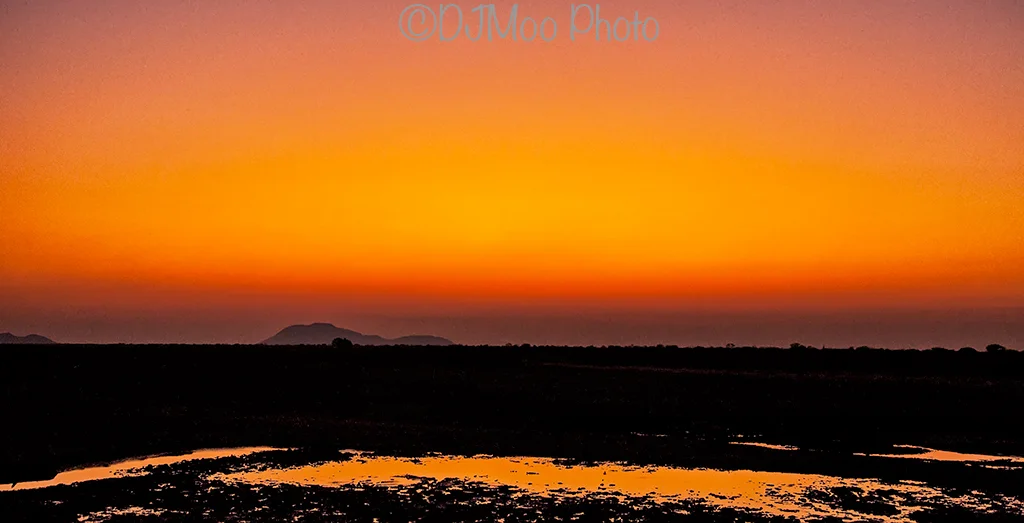    Madikwe Game Reserve, South Africa   