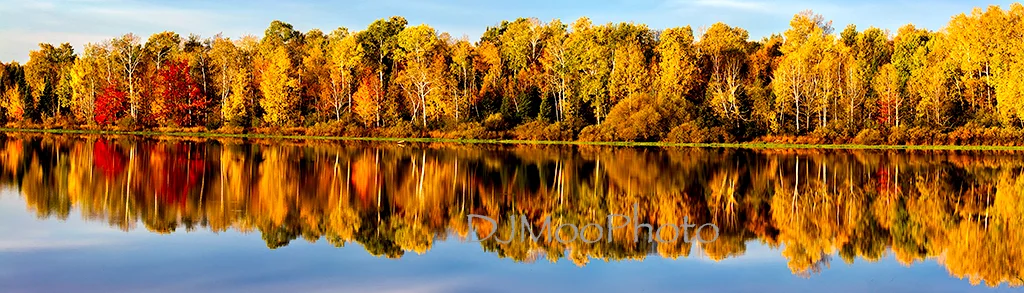    N. Wisconsin Tree Line   