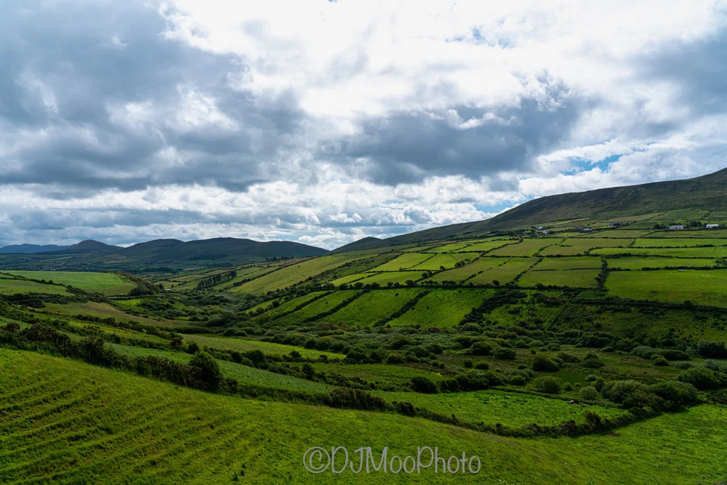    Irish Countryside, Near Dingle   
