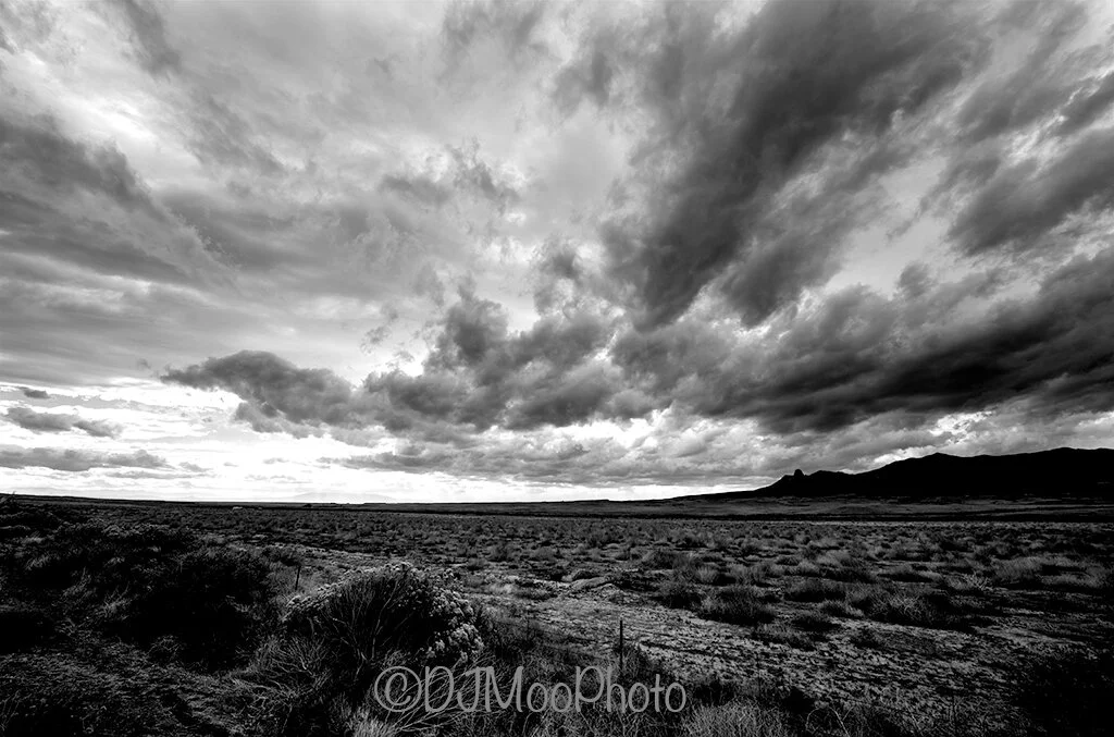 New-Mex-Prairie-&-Sky-BW.jpg