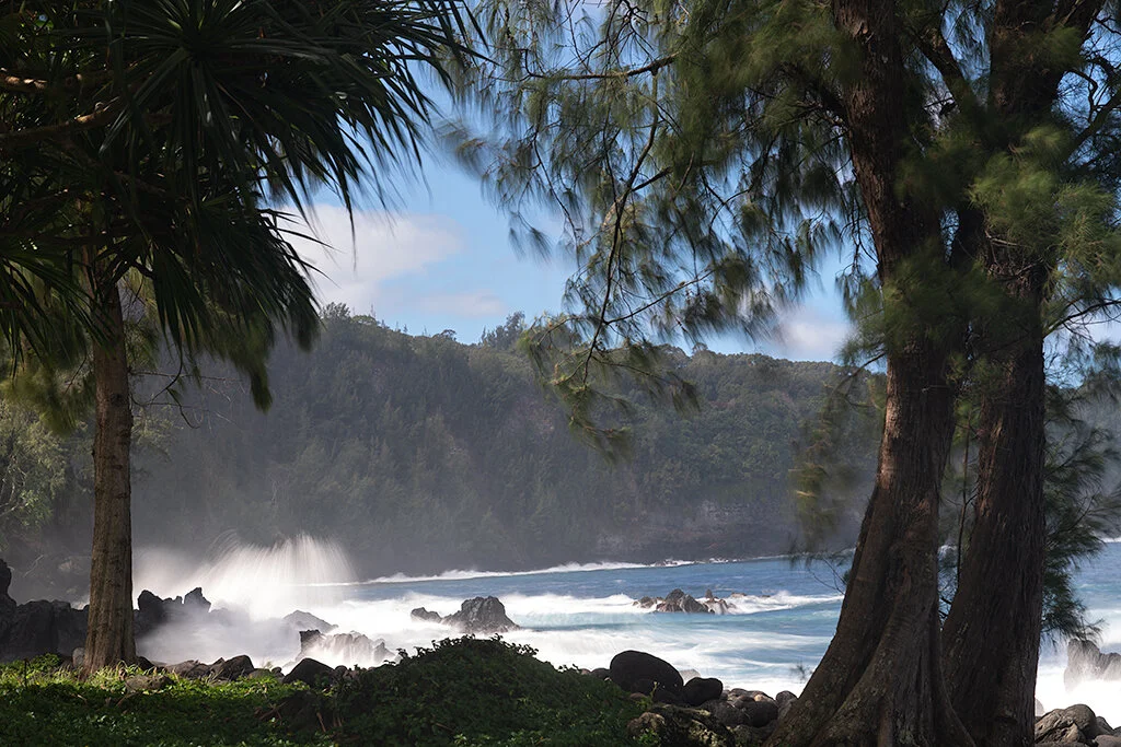    Surf at Laupahoehoe, Big Island   