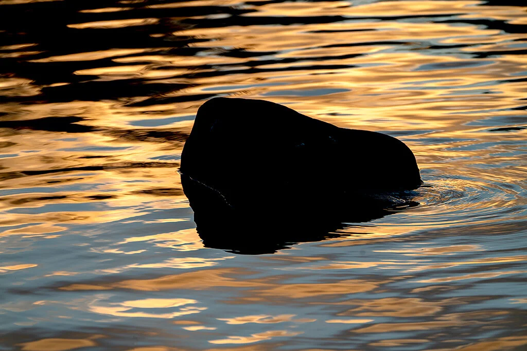    Rock &amp; Reflections, Grand Marais Area   