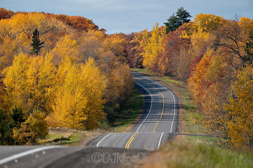    UP Road in Autumn   