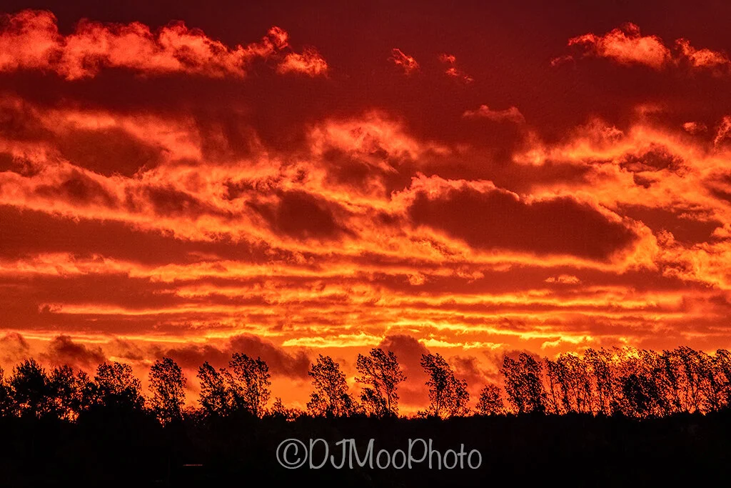    Sunrise near Traverse Bay   