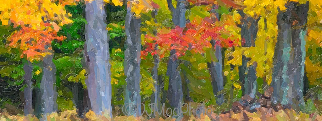    Tunnel of Trees Abstract Woodscape   