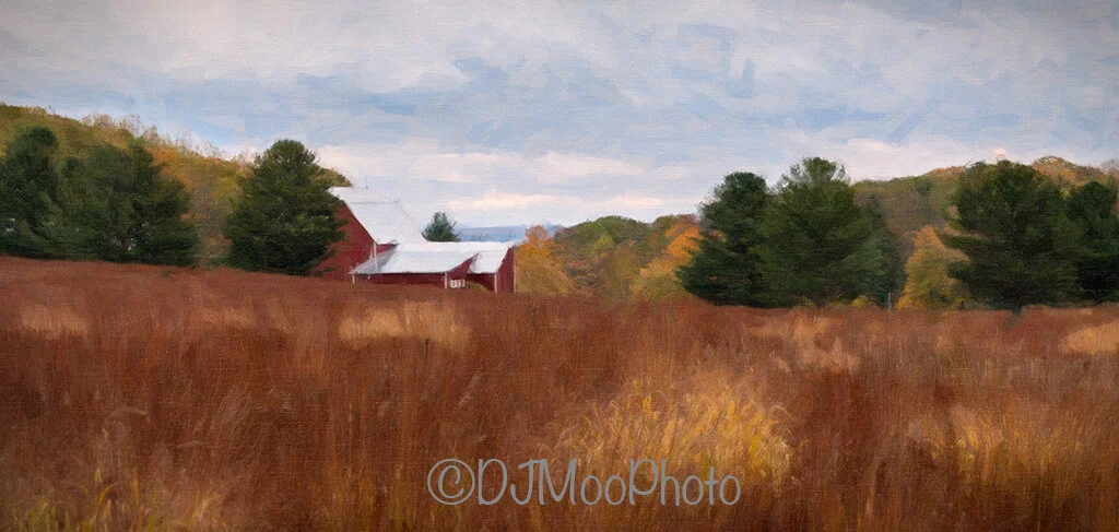    Tunnel of Trees Barn &amp; Field   