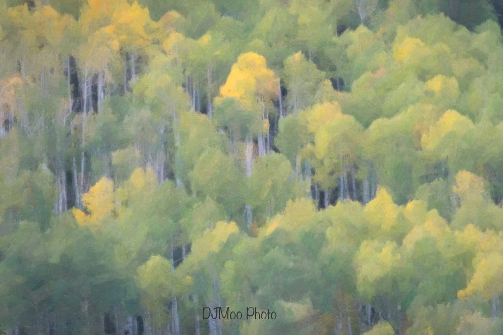    Castle Creek Colorado   