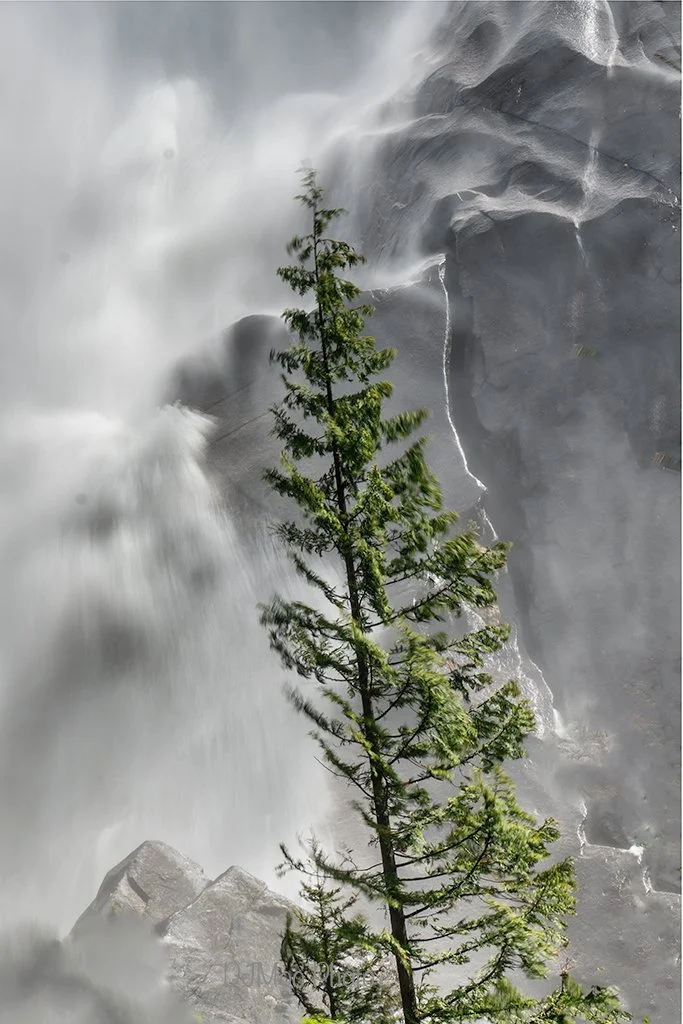    Shannon Falls, BC   