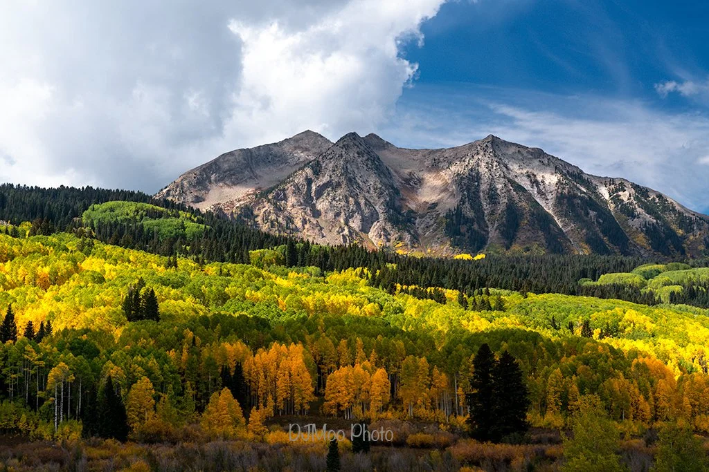    Kebler Pass Rd., Colorado   
