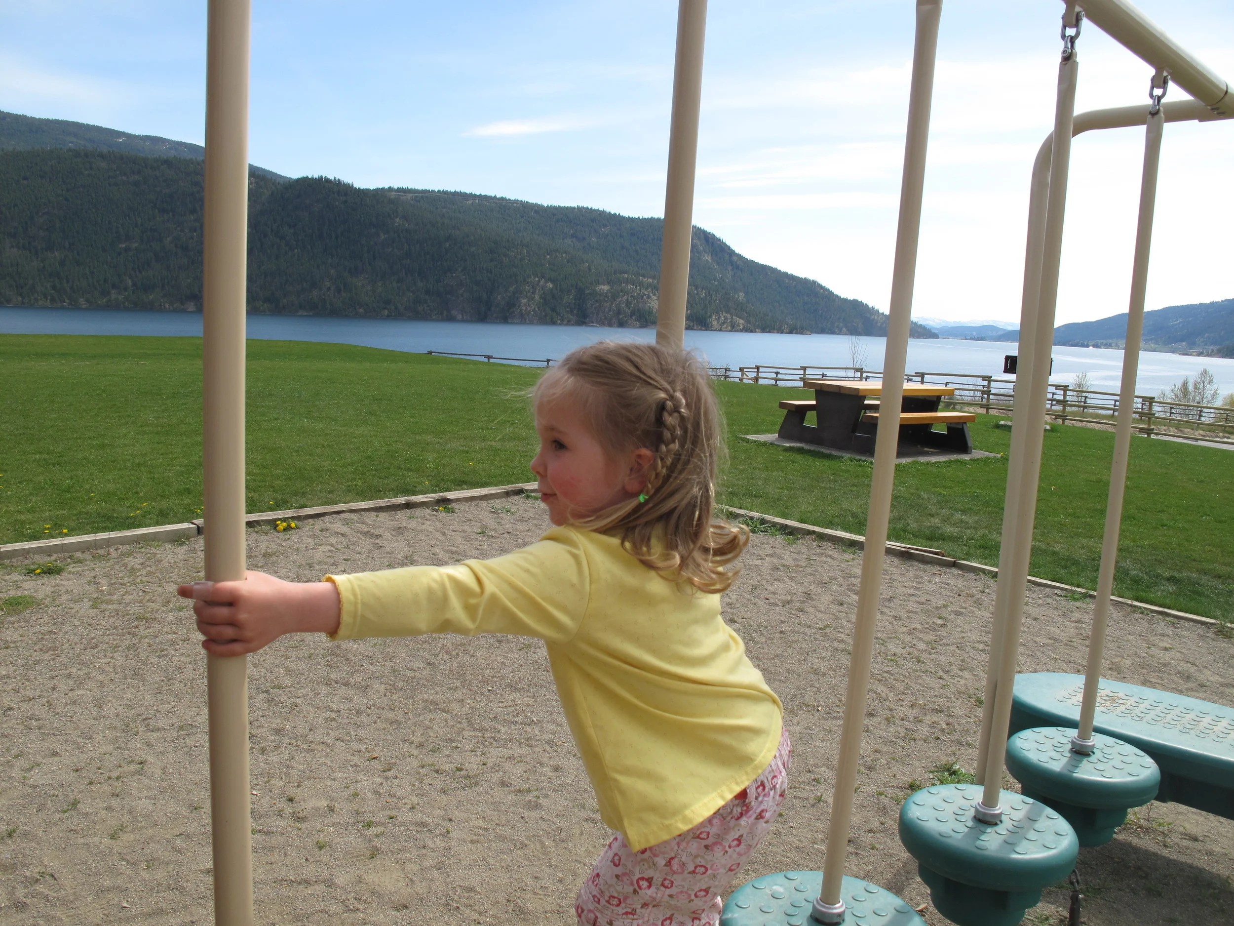 Motor planning: how we organize our movements when we meet a novel experience