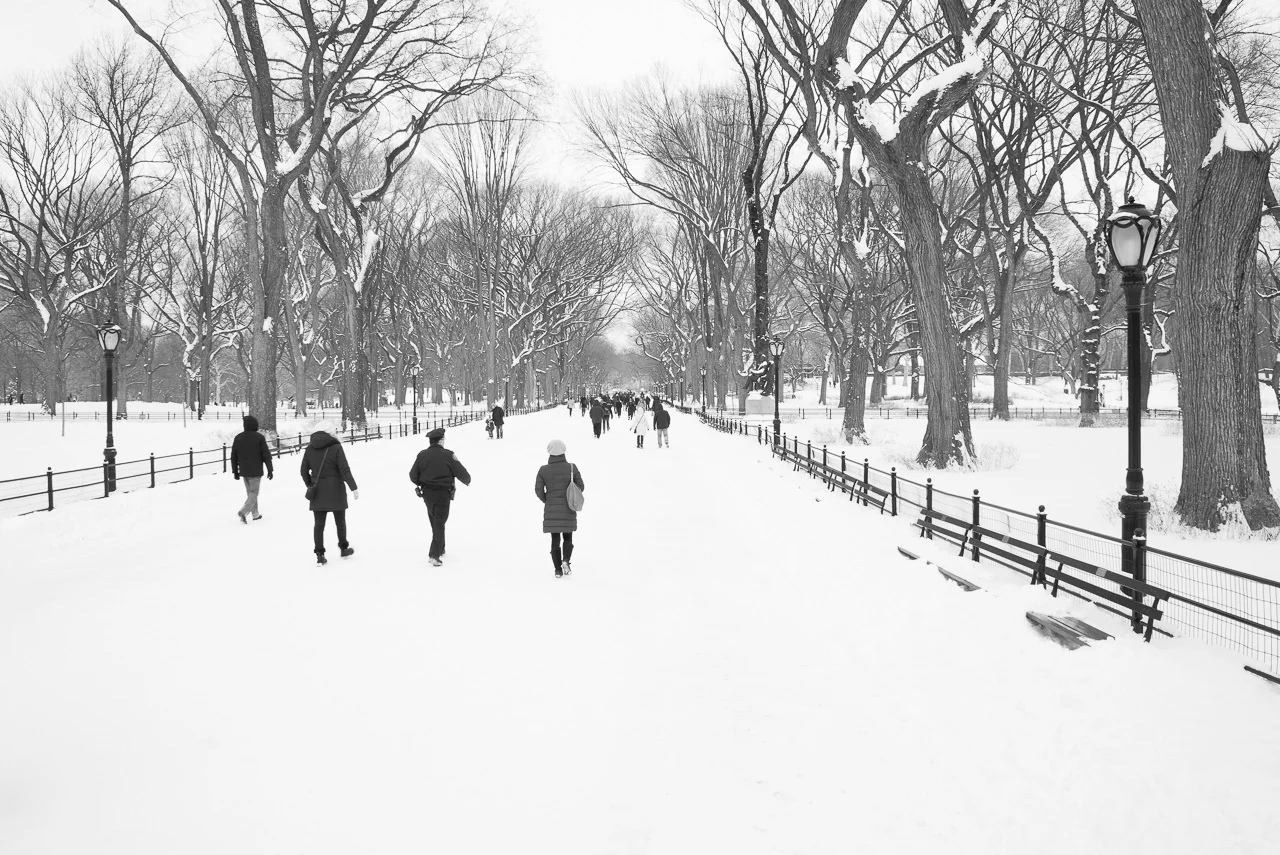 Central Park After The Snow [series -1]