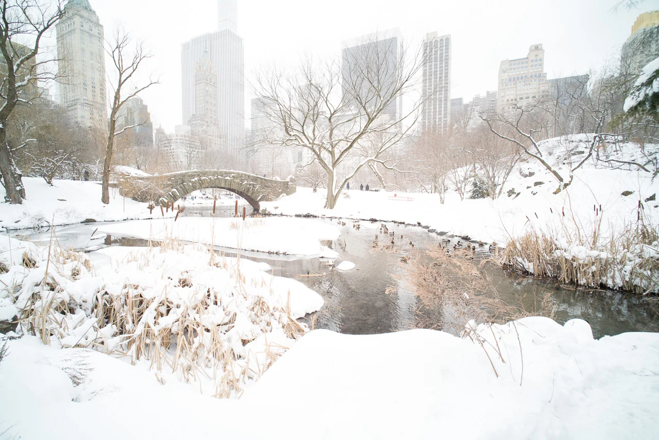 Central Park After The Snow [series - 2]