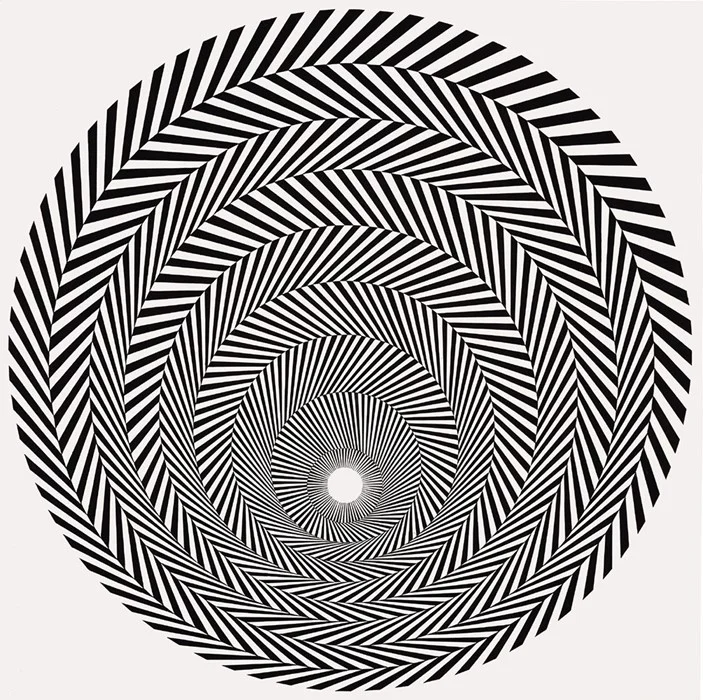 Bridget Riley