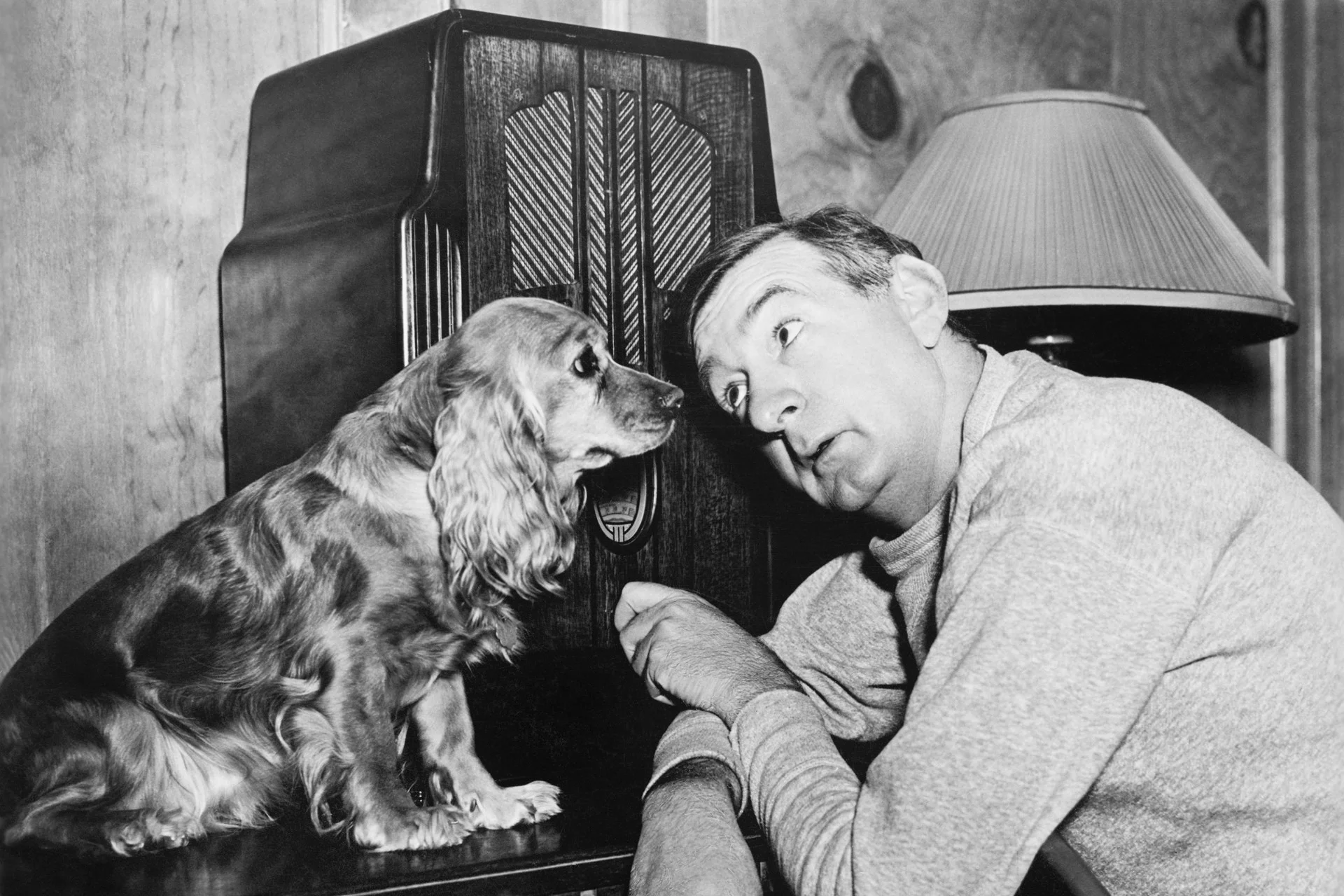 The Number One Media