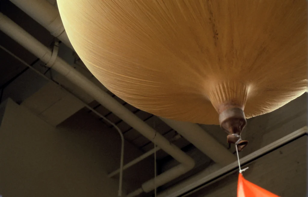 balloon project 5.jpg