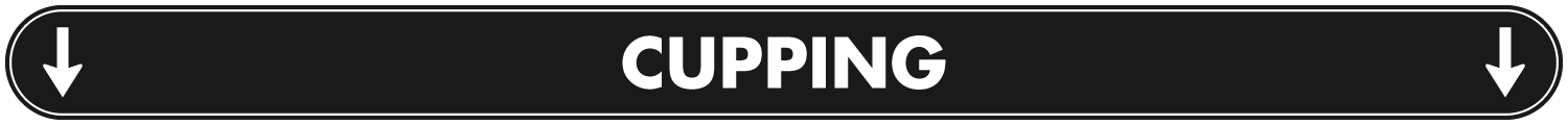 cup.png