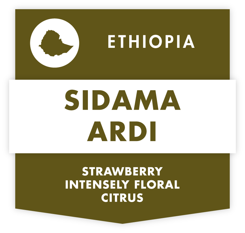 sidama.png