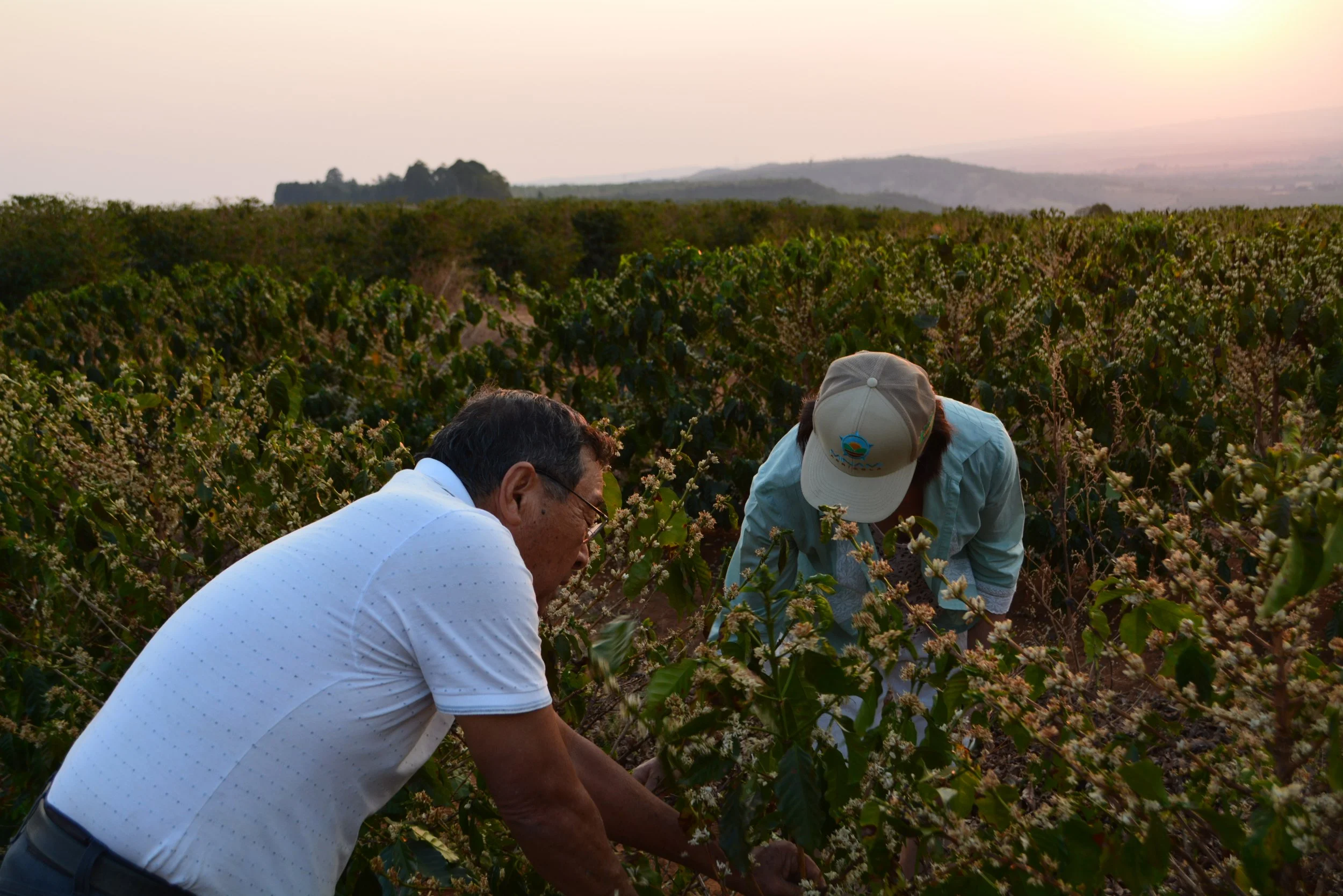 Copy of DSC_6499.JPEG