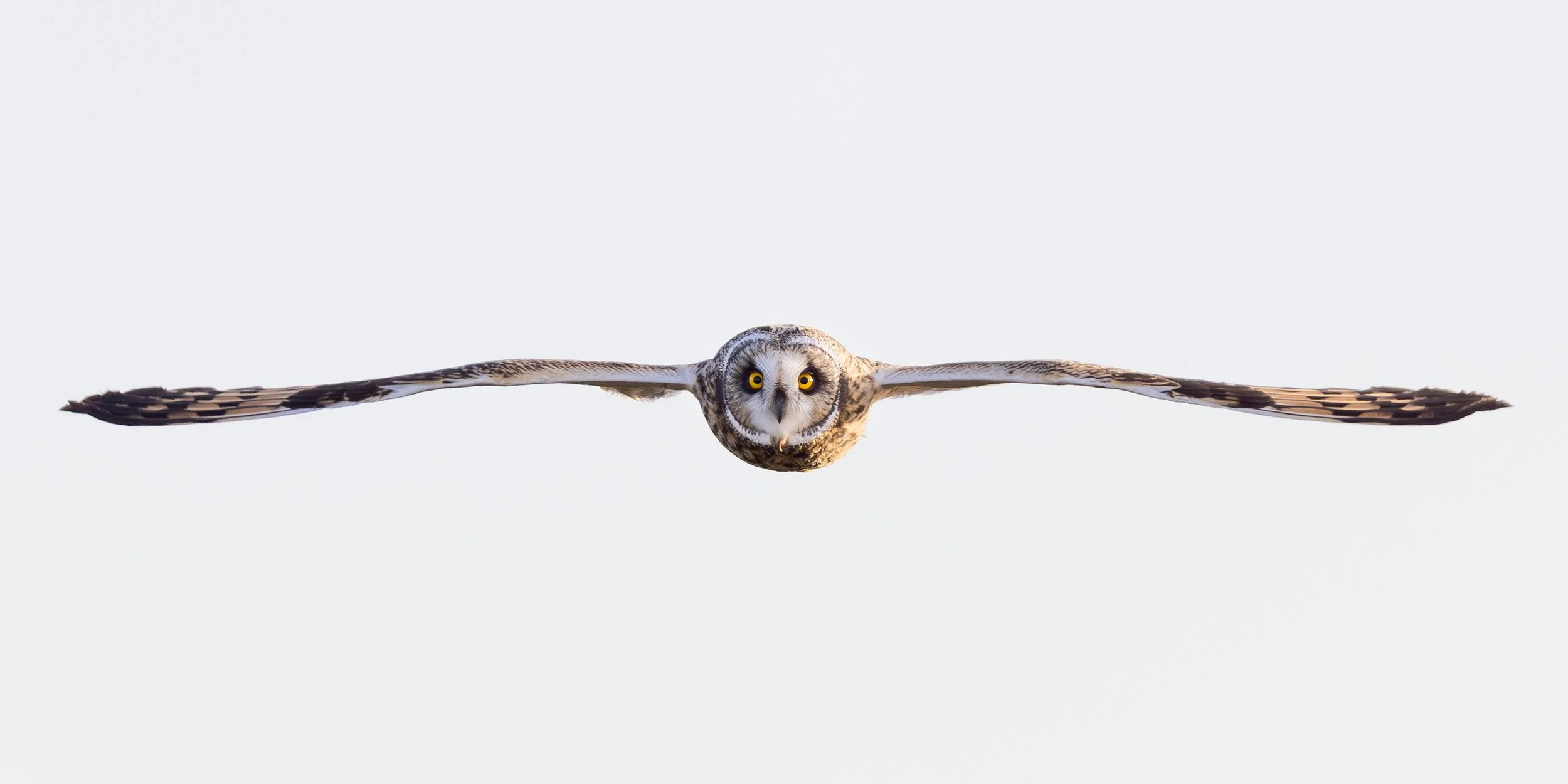 balanced 10x30-2.jpg
