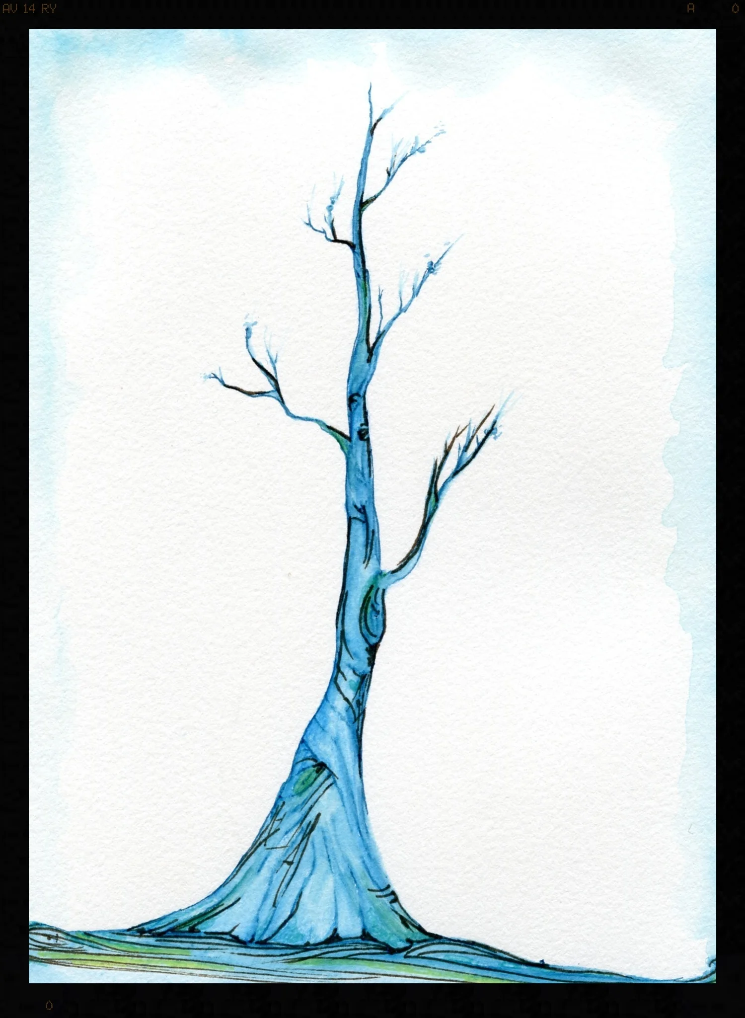 Lone