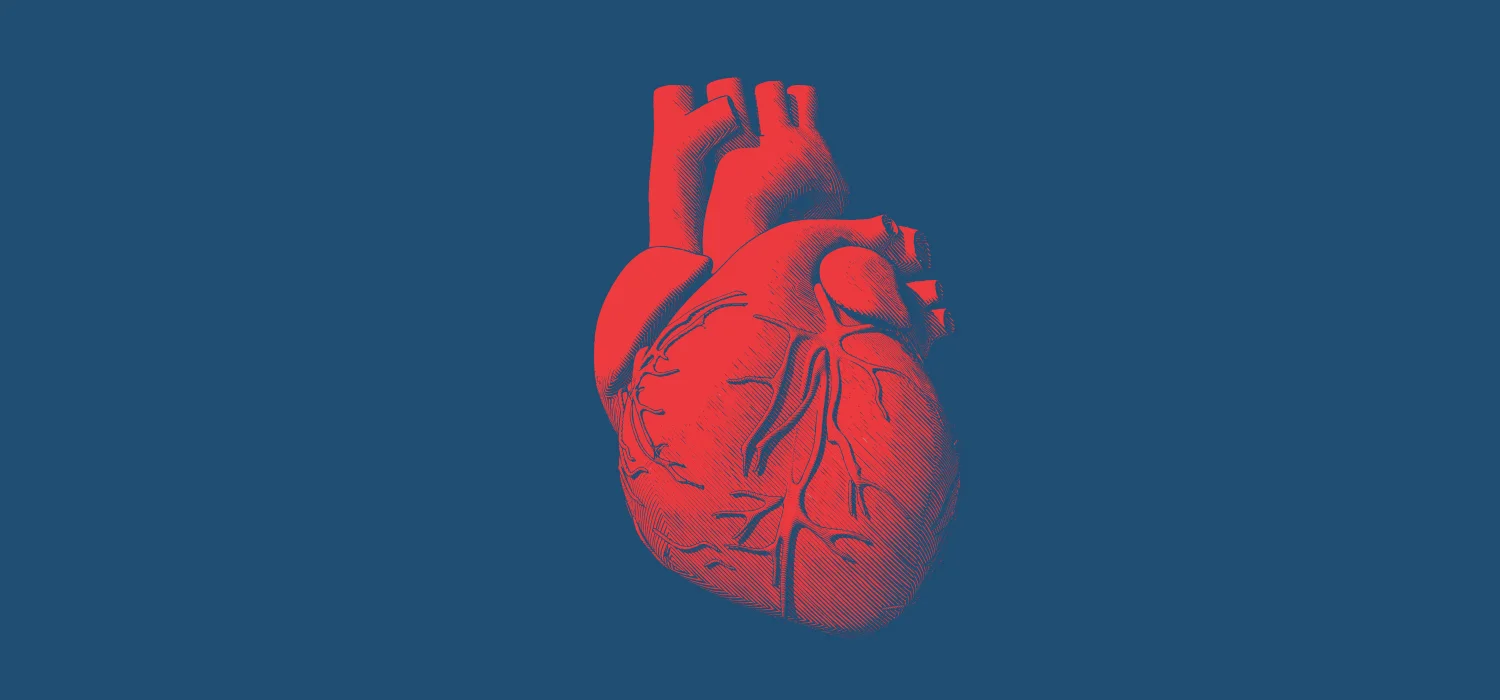 Heart.jpg