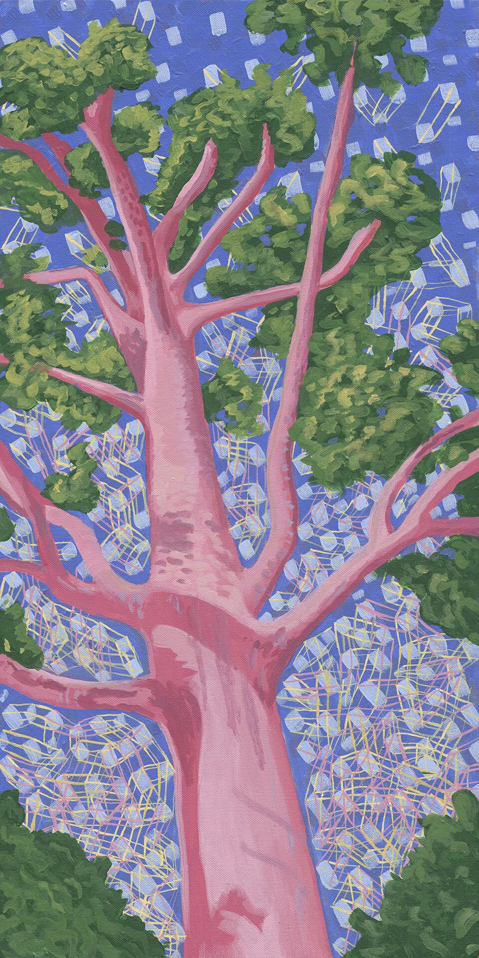 Sycamore medium.jpg