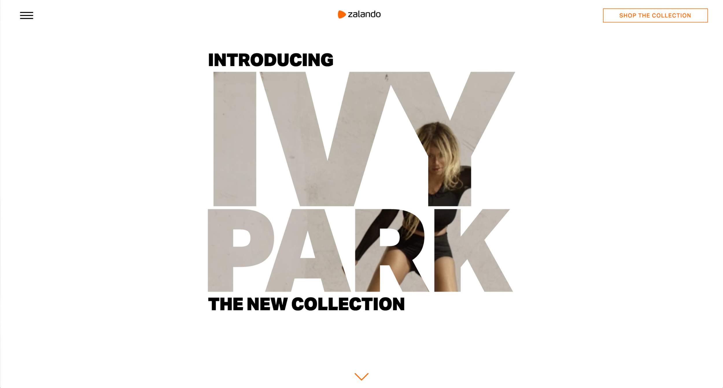 ivy park designer