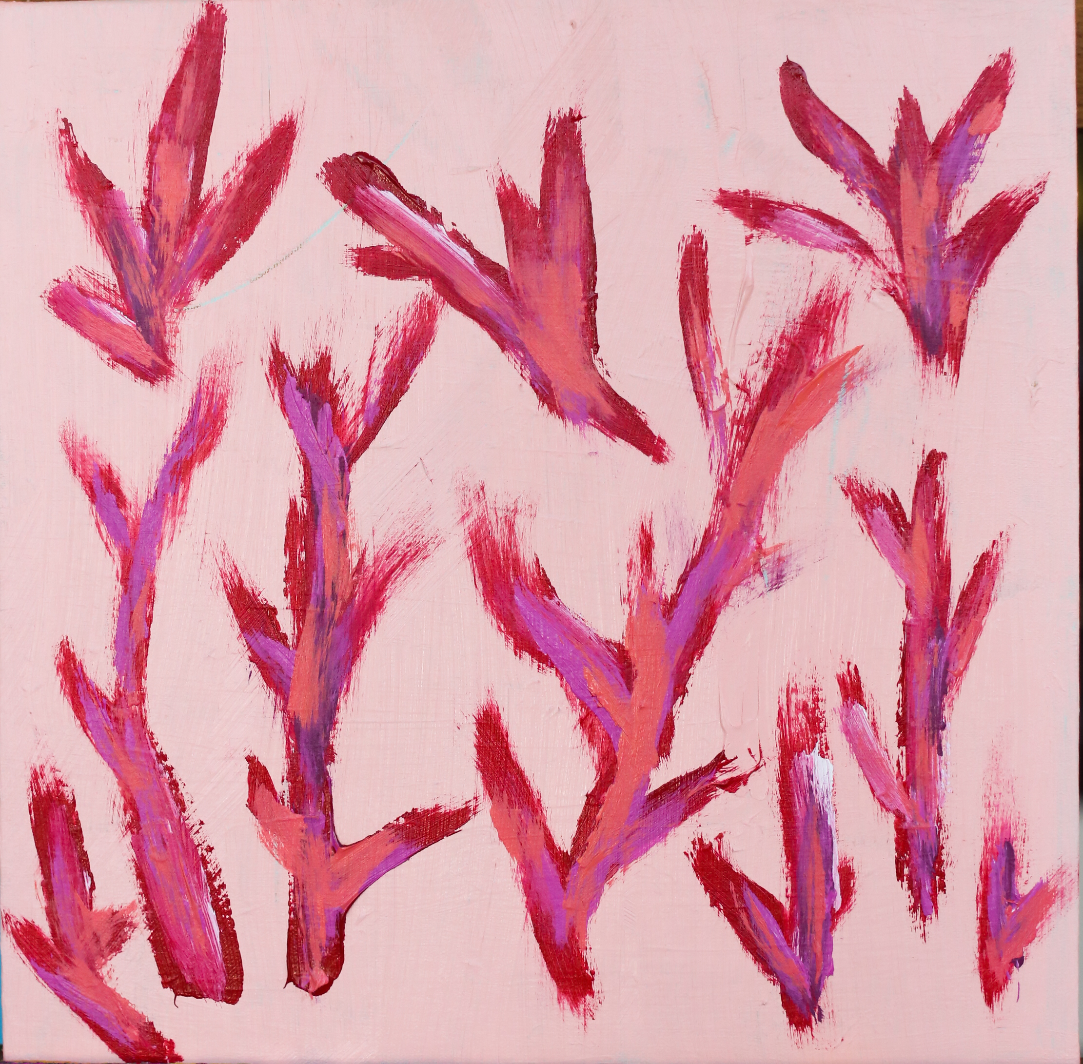 sea coral