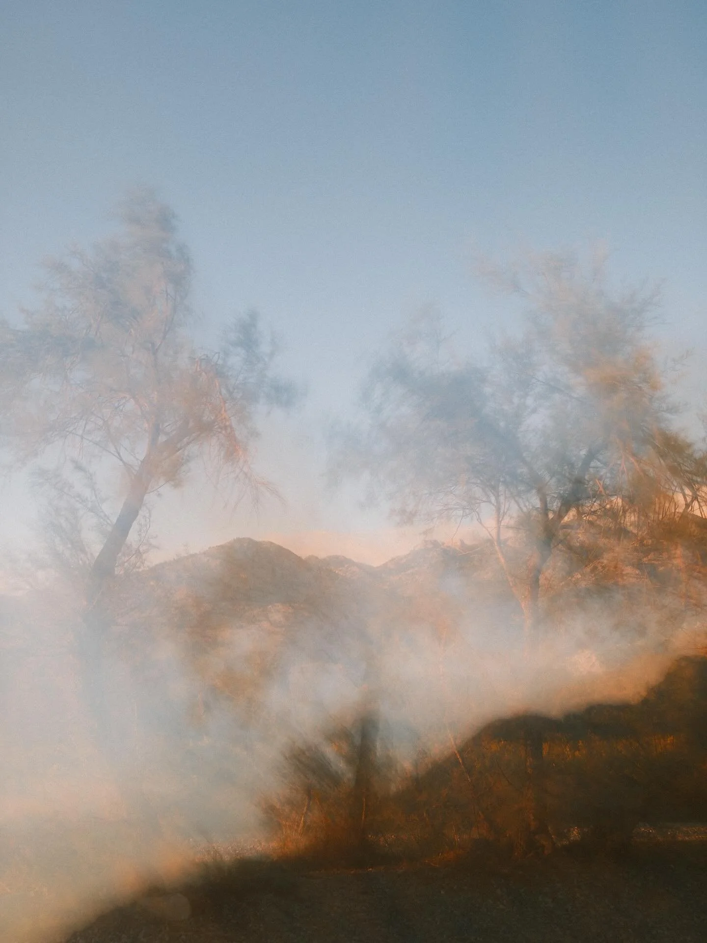 Lots of wind, slow shutter and an ND filter. 

#fujix100vi 
#fujifilmx100shooters