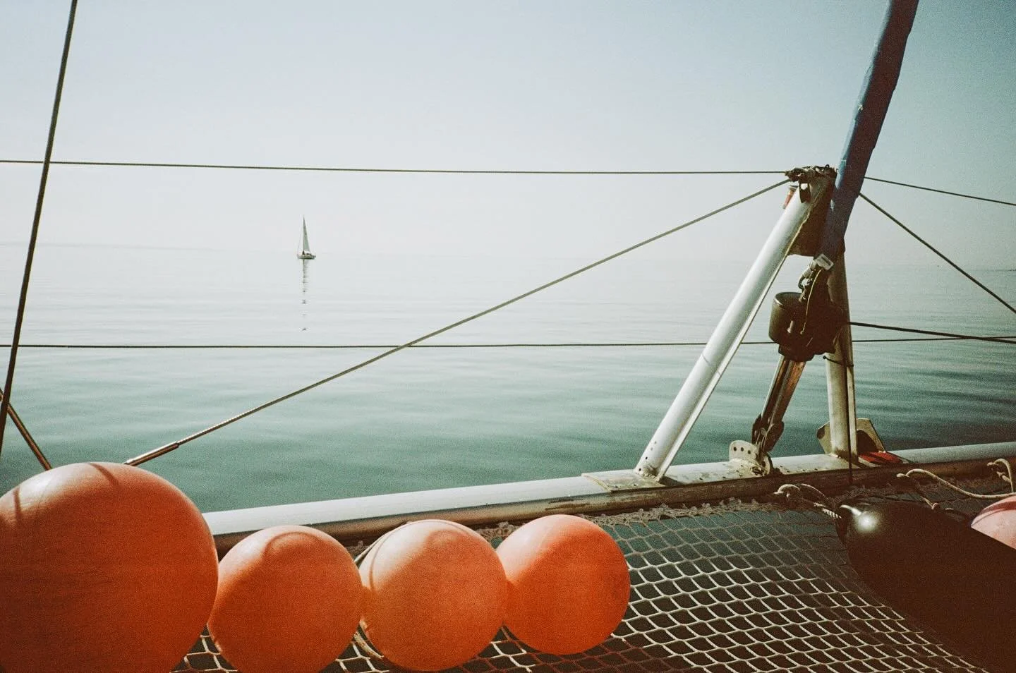 Various shots from home in Cornwall 2022. Just got this roll developed after it sat on multiple shelves. Shot on an Olympus XA2 with Kodak Portra 160.

 (The picture of the camera is from 2025)